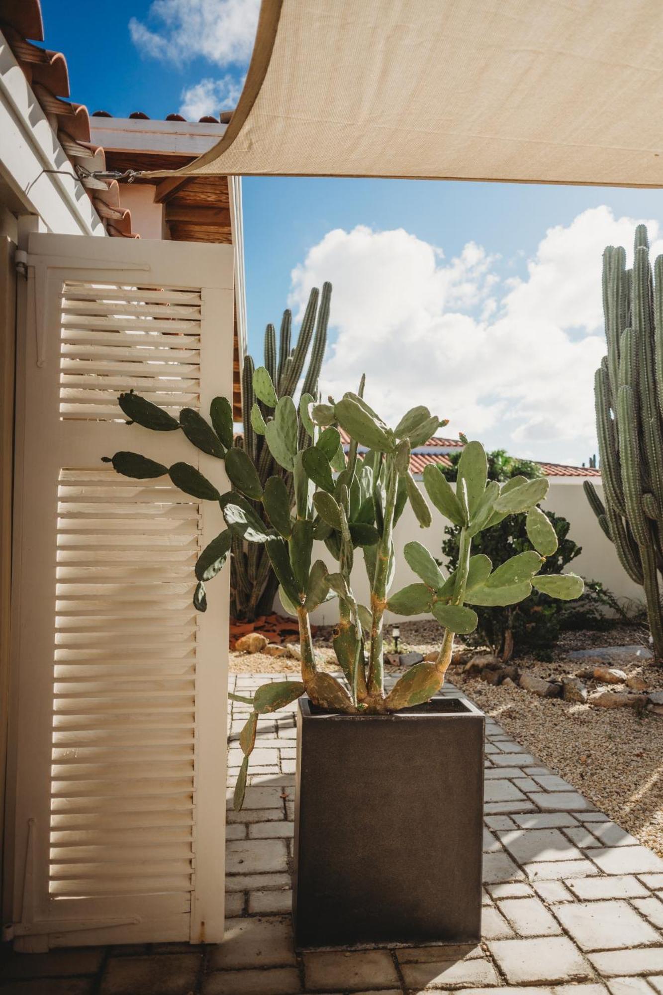 Pura Vida Aruba Appartement Palma Noord Εξωτερικό φωτογραφία